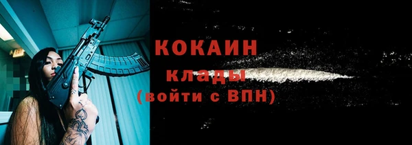 дживик Кинешма