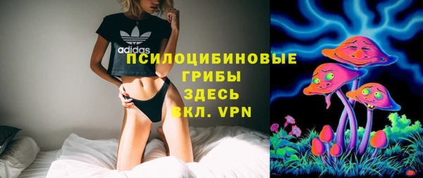 дживик Кинешма