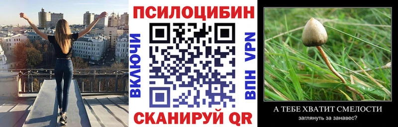 Купить закладки Ессентуки Псилоцибиновые грибы Magic Shrooms